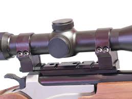 scope and mount